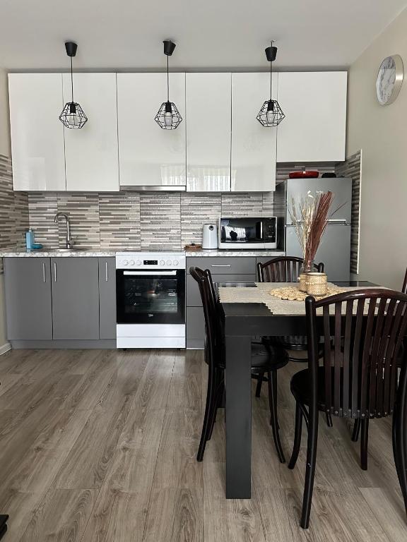 Dapur atau dapur kecil di Nijolės apartamentai