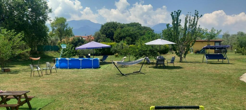 a group of chairs and umbrellas in a yard at Olympos House in Litochoro
