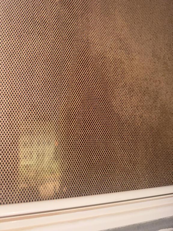 Imagine din galeria proprietății Kip în Cairo