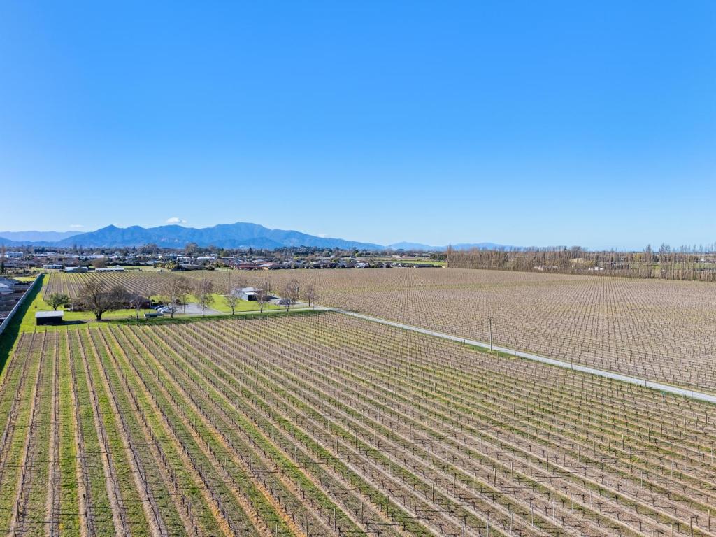 Blenheim Accommodation - Resim 38