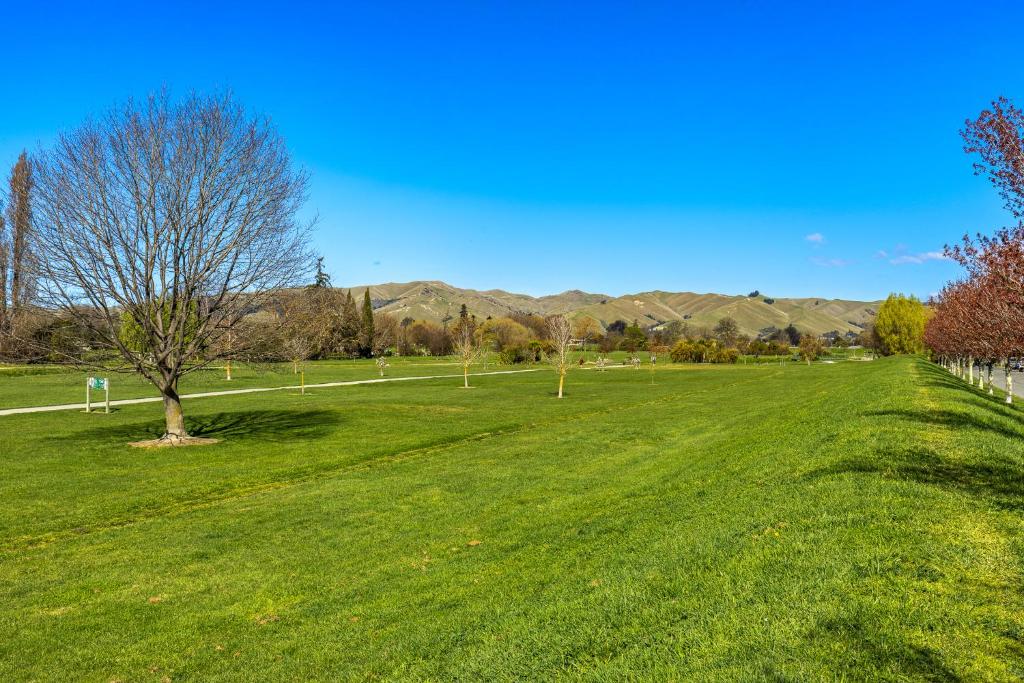 Blenheim Accommodation - Resim 41