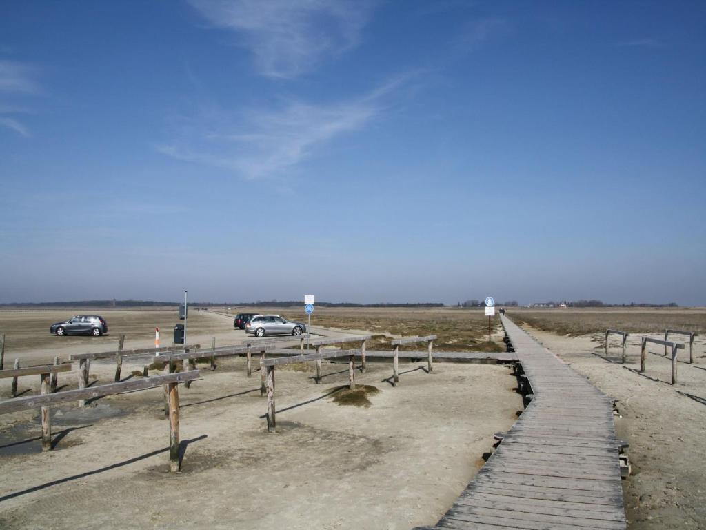 a wooden boardwalk in the middle of a field at Ferienhaus in St Peter-Ording in Ording