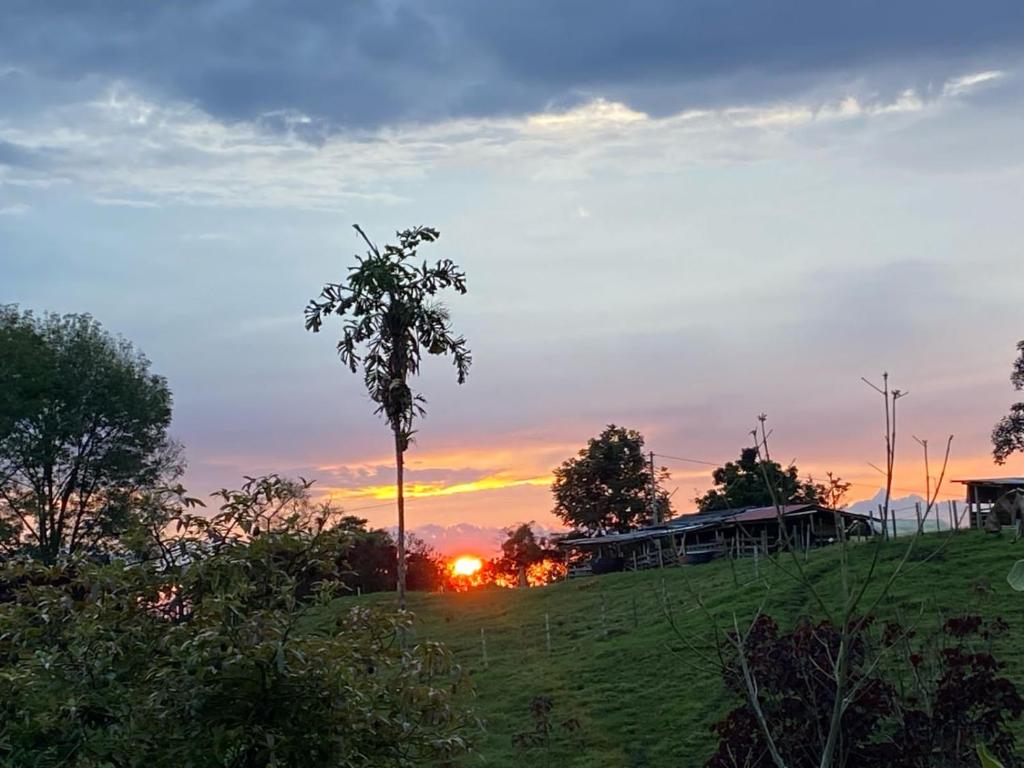 a sunset in a field with a tree and a house at Mahatma Experiencias que Sanan in Filandia