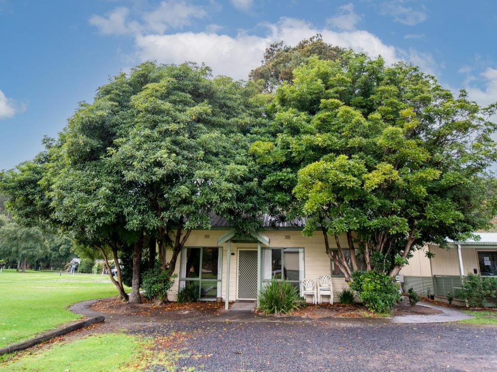 a house with two large trees in front of it at Warburton Holiday Park in Warburton