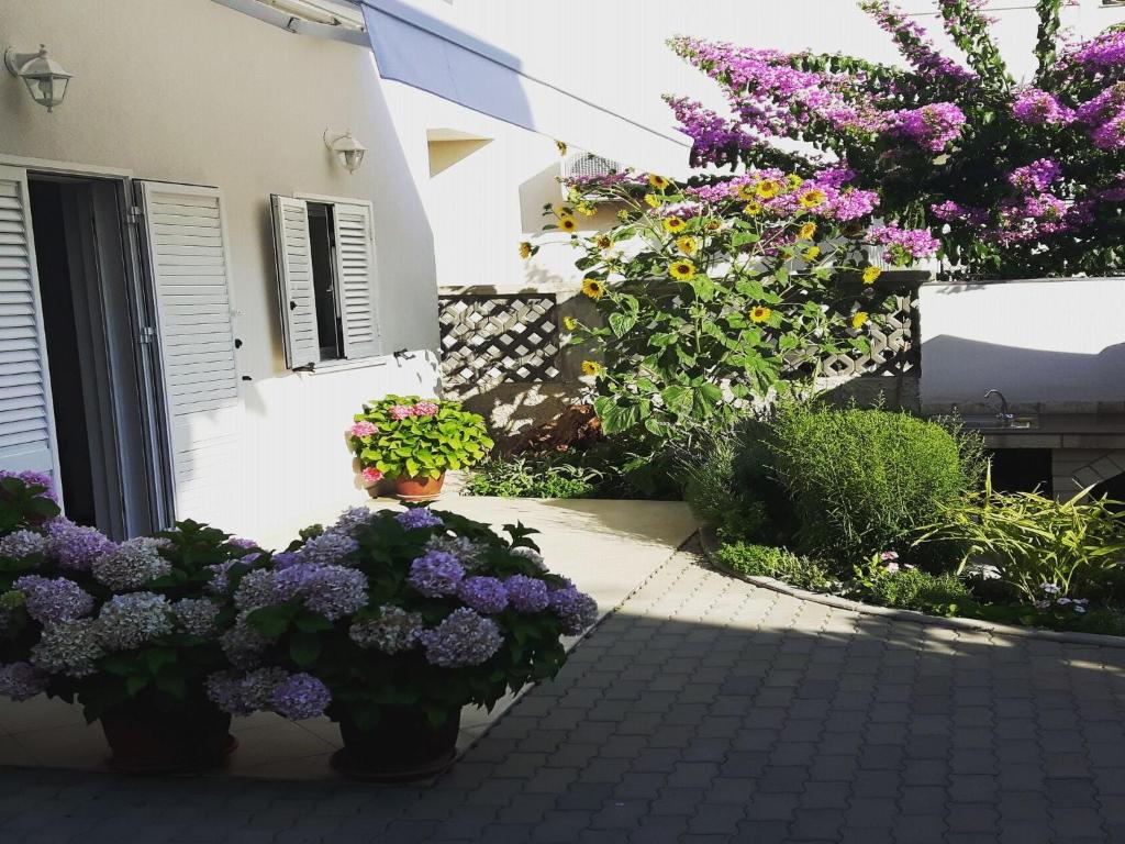 Zahrada ubytování Apartments Kekica