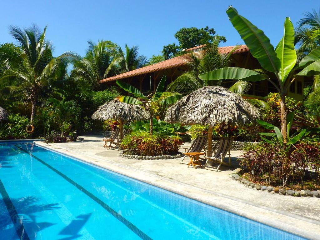 Kolam renang di atau di dekat Bluff Beach Retreat