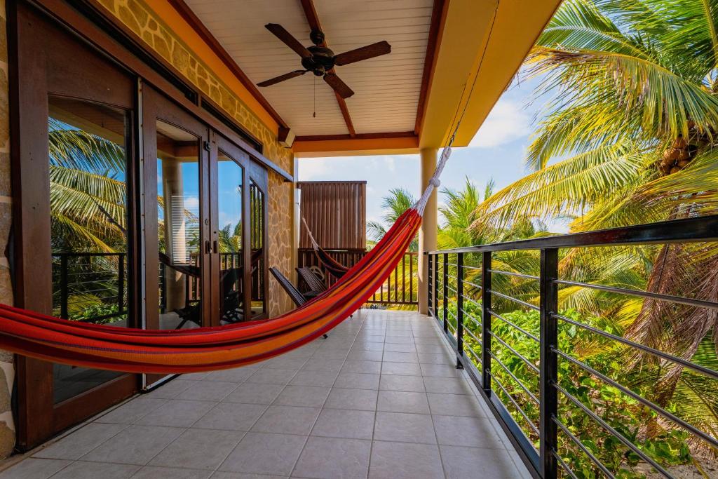 Buttonwood Belize photo