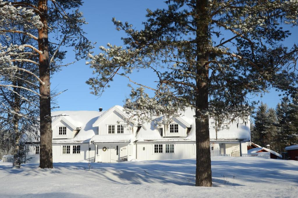 Το Fulufjellet nationalpark Lodge - Home of snow, nature and peace τον χειμώνα