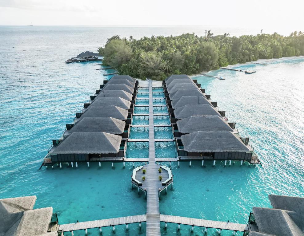 Coco Bodu Hithi - 50 Percent Off Shared Roundtrip Speedboat for Stays until 7th January 2027, Book by 31st January 2026 - 10