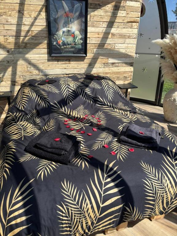 La Vie est Bulle, une nuit insolite sous les étoiles, au calme absolu, avec petit déjeuner