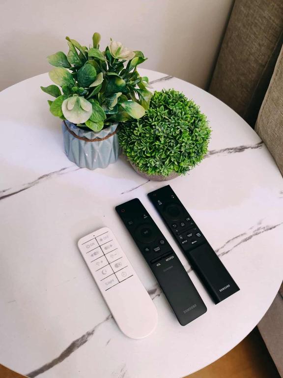 a table with two remote controls and a potted plant at Cambridge cozy 2BR condo in San Andres