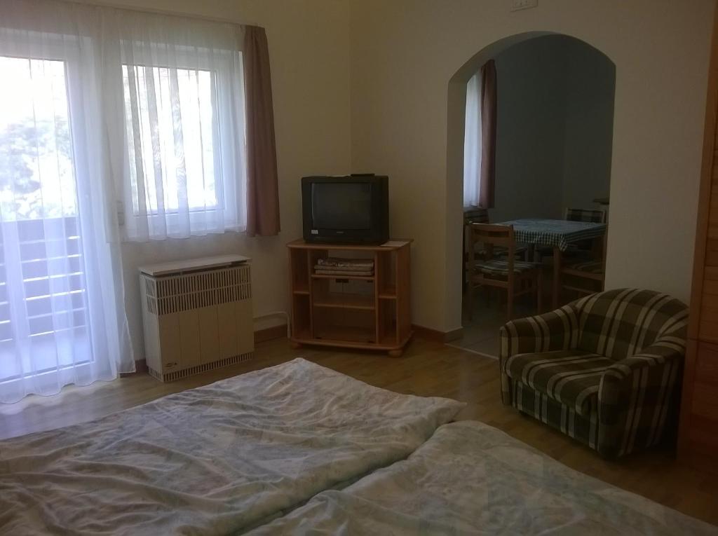 Televízia a/alebo spoločenská miestnosť v ubytovaní Apartman Németh