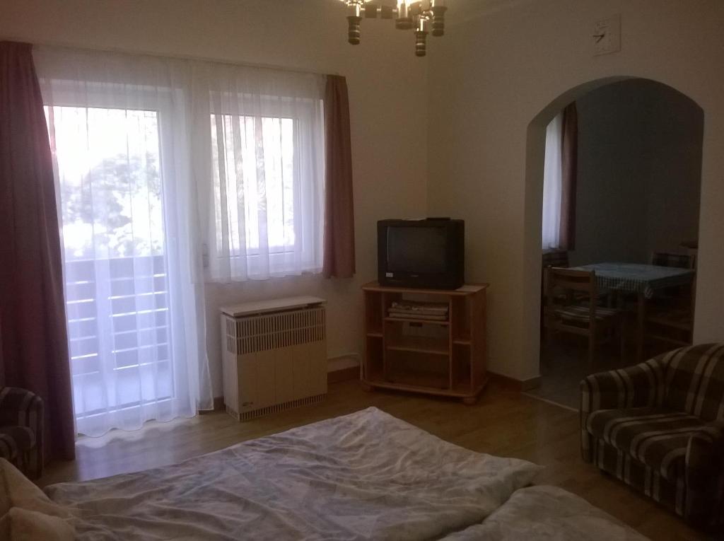 Televízia a/alebo spoločenská miestnosť v ubytovaní Apartman Németh