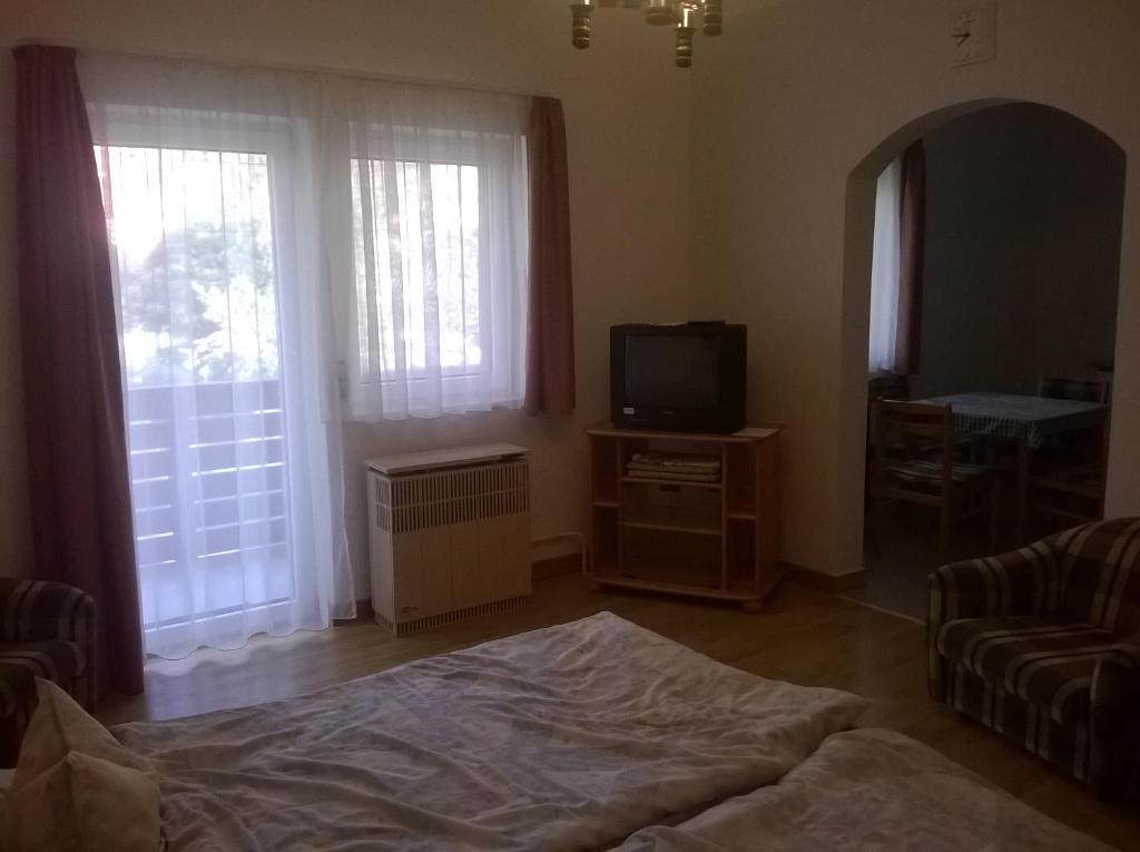 Televízia a/alebo spoločenská miestnosť v ubytovaní Apartman Németh