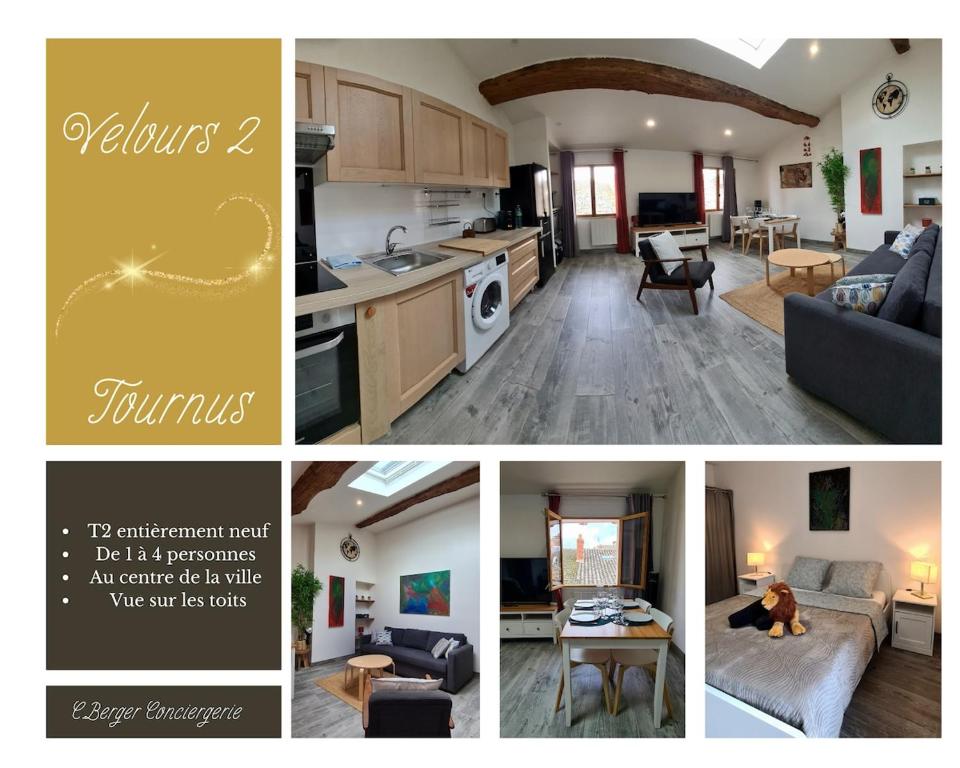 a collage of pictures of a kitchen and a living room at Velours 2, Spacieux, cozy, moderne in Tournus
