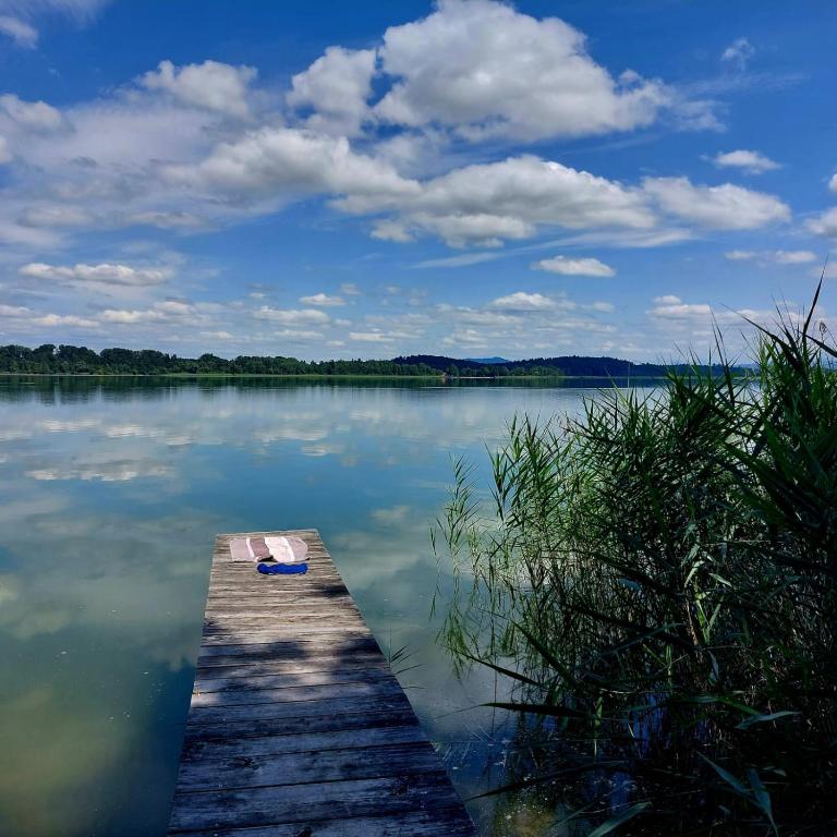 a dock on a lake with a cloudy sky at Ferienhof Reiter in Waging am See