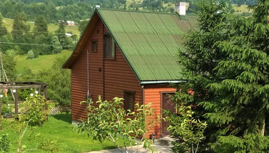 a small wooden house with a green roof at Cottage Ozerniy in Lazeshchyna