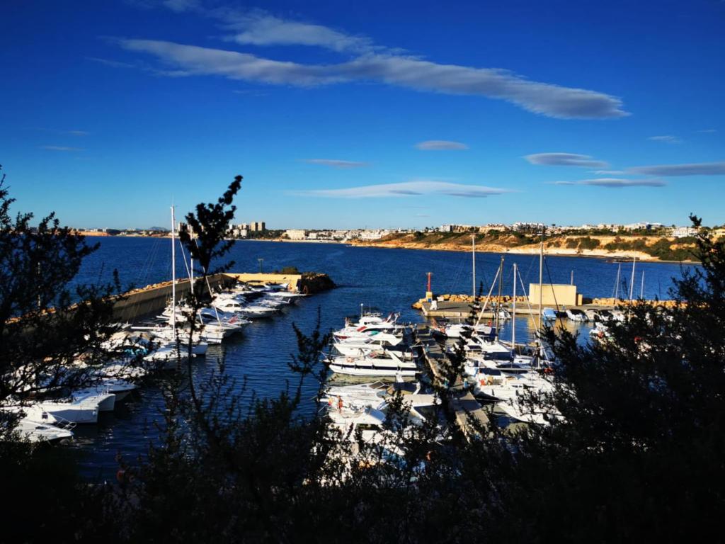 un groupe de bateaux est amarré dans un port dans l'établissement Cabo Roig Cristalmar, à Cabo Roig