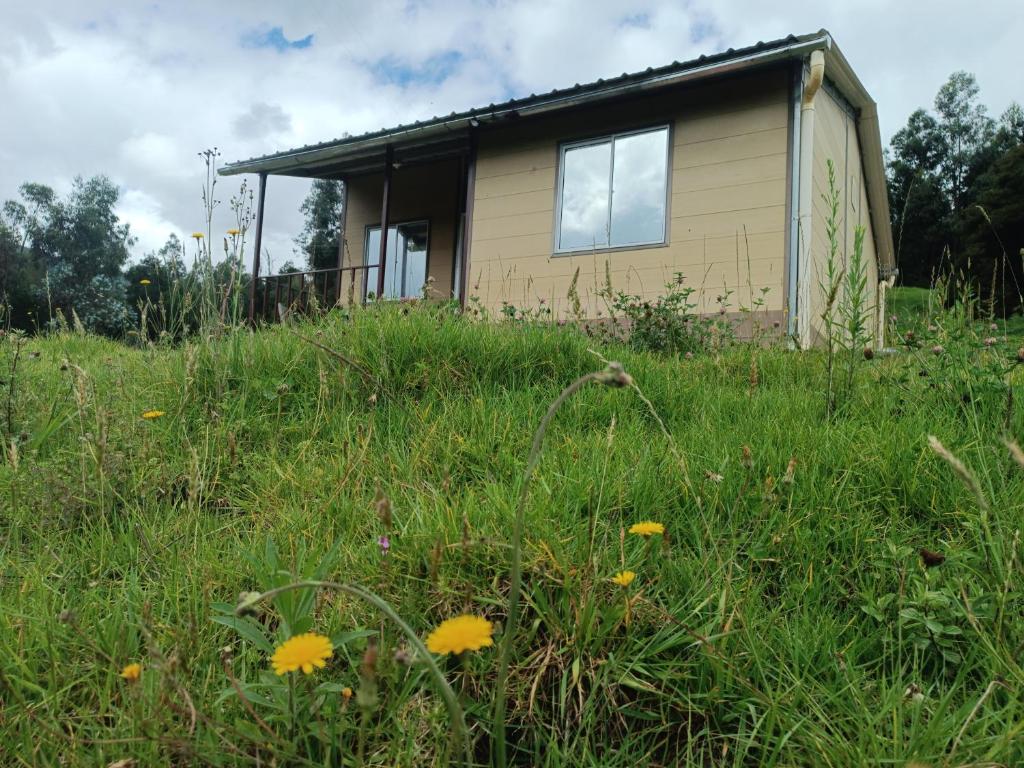 ラキラにあるVilla Teresa Ráquiraの花畑中の家