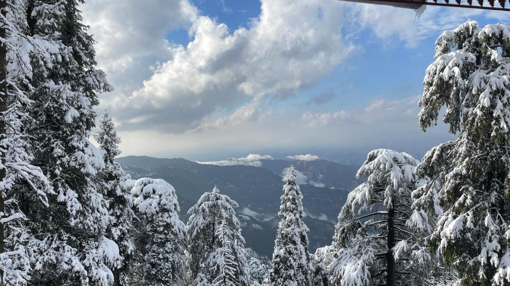 Una vista de árboles cubiertos de nieve en las montañas. en Smart Hill Kalatop, Dalhousie, en Dalhousie