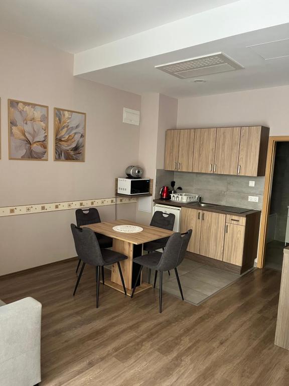 Kuchyň nebo kuchyňský kout v ubytování Solaris Apartman