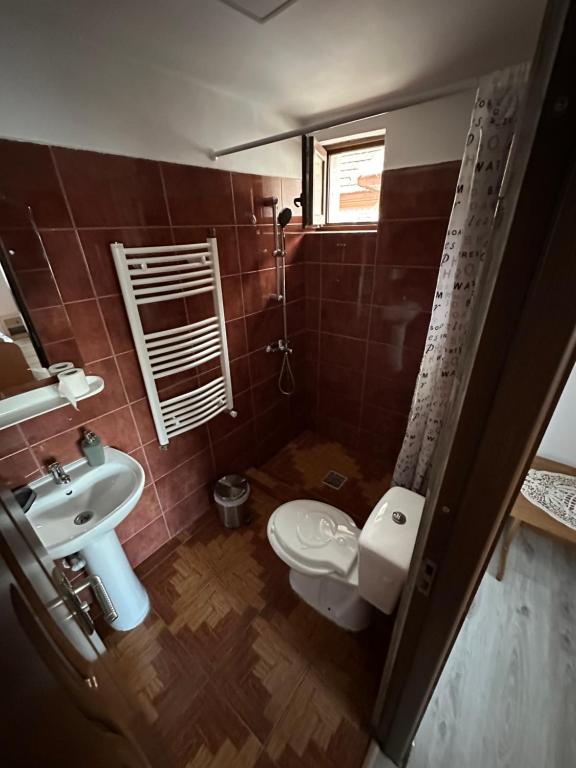 クルツィショアラにあるCasa Tradițională Cârtisoaraのトイレと洗面台付きのバスルーム