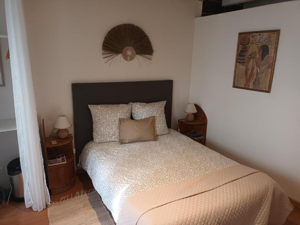 a bedroom with a bed and a fan on the wall at Charmante chambre bords du louet . in Rochefort-sur-Loire