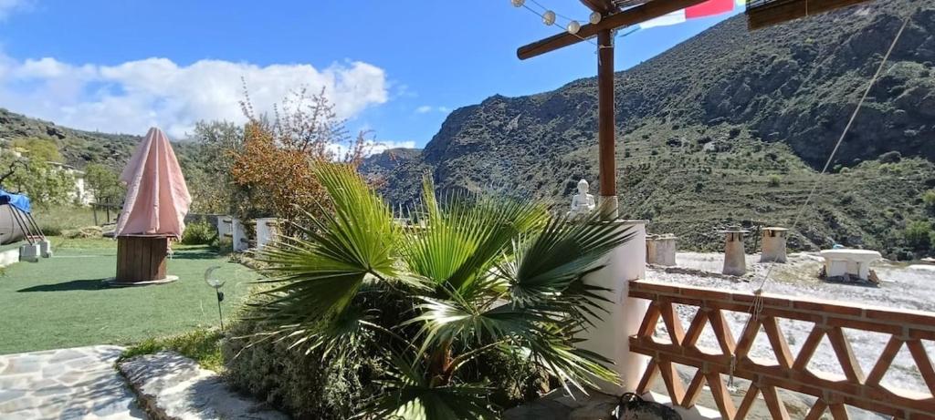 a view of a mountain from a patio with a palm tree at Alpujarra Casa Fortuna in Mecina Fondales