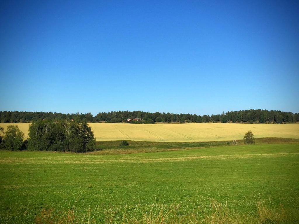 Příroda nedaleko penzionu