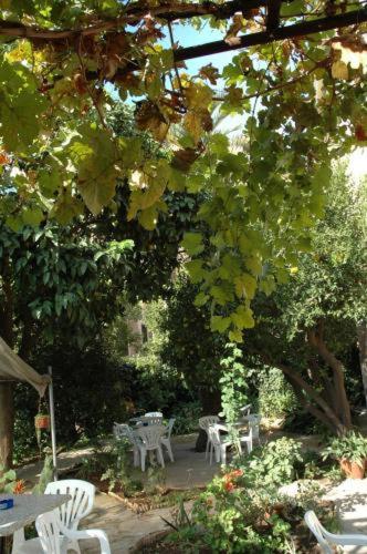 Hotel Lodi - Resim 22