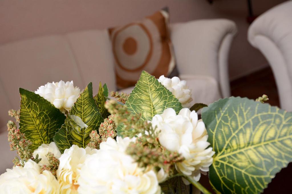 Apartments House 91 - 4