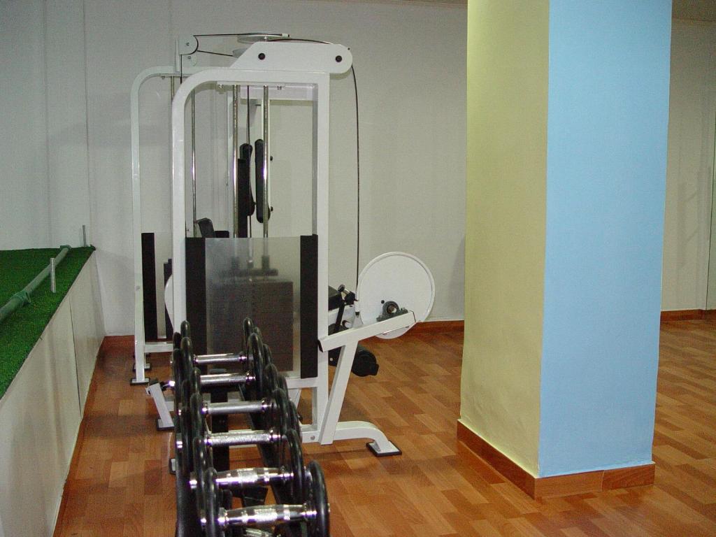 Fitness centrum a/nebo fitness zařízení v ubytování Charles Hotel