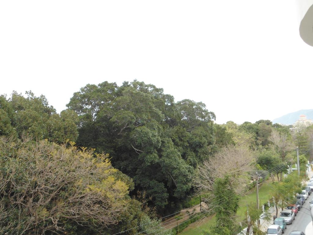 Ellinis Hotel - Resim 26