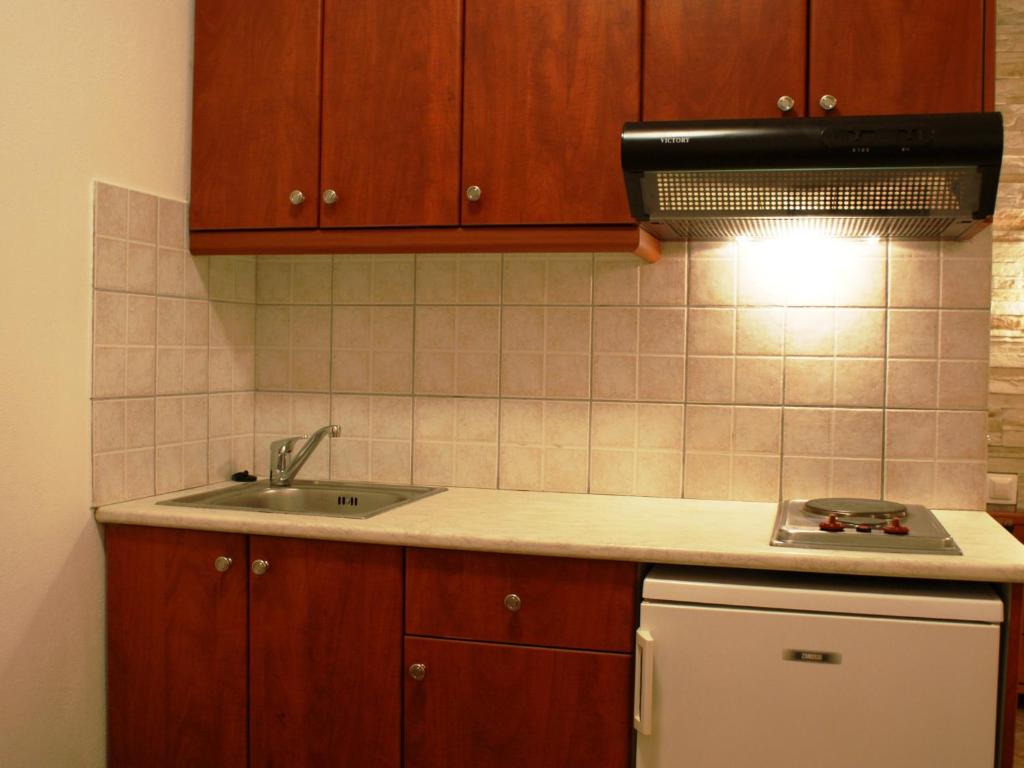 Kuchyň nebo kuchyňský kout v ubytování Plaka Hotel I