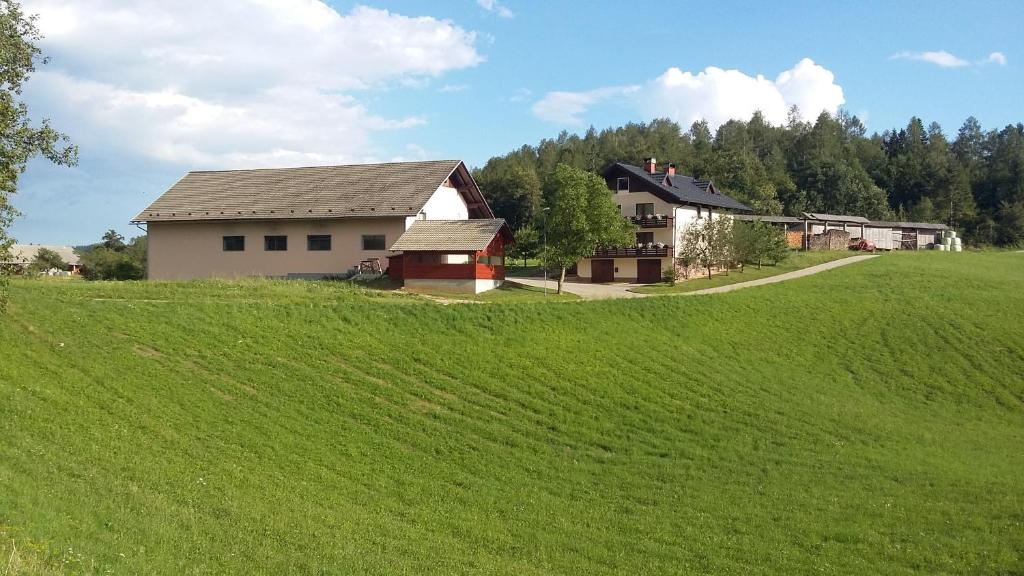 a house on a hill with a green field at Apartment Vrtacnik in Štefanja Gora