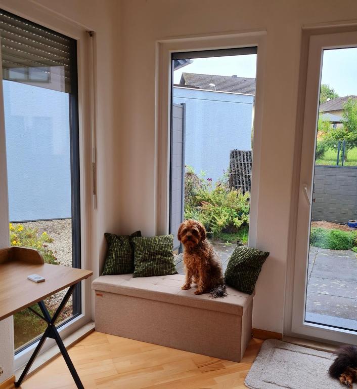 Landlust Meddersheim - One-Bedroom Apartment