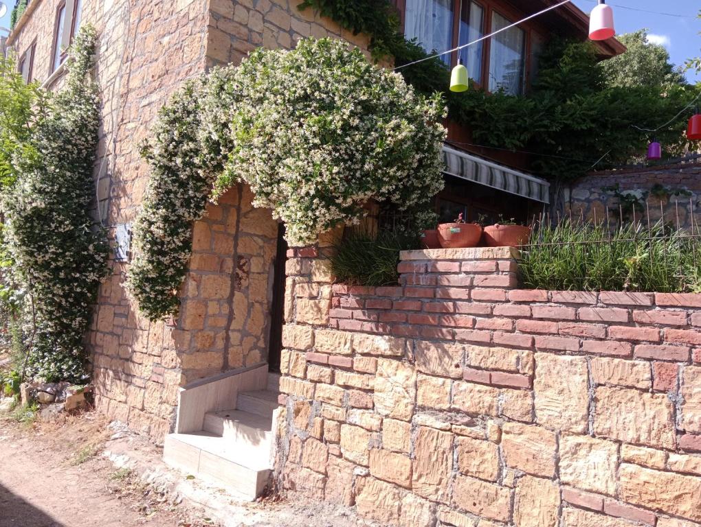Φωτογραφία από το άλμπουμ του Merve's Stone House σε Nusratlı