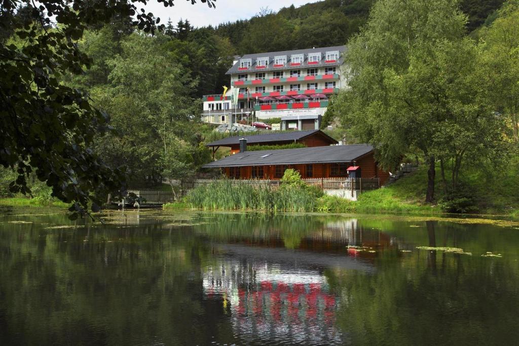 ein Gebäude neben einem See mit einem Gebäude in der Unterkunft Waldhaus am See in Willingen