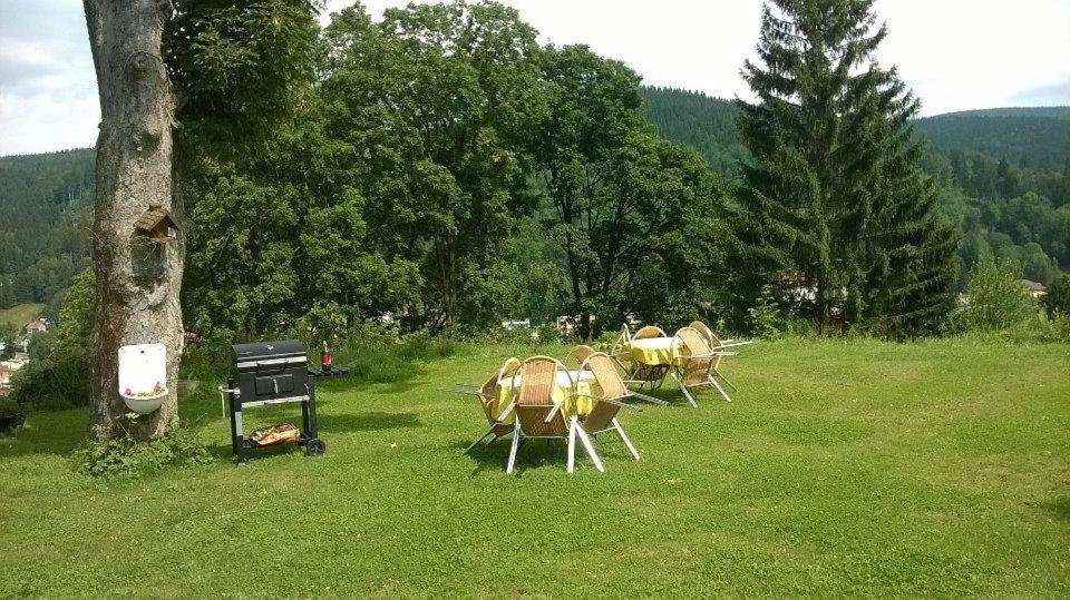 a group of tables and chairs in a field at Chalupa u Josefa in Josefuv dul