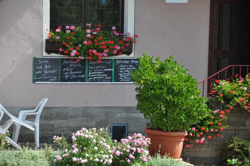 Zahrada ubytování Hotel Gasthof Vogelsang