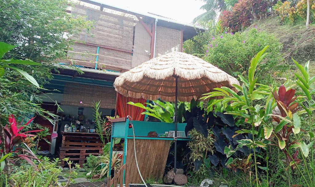 L'Auberge de jeunesse Tahiti Iti - photo 12 - Tahiti, Polynésie