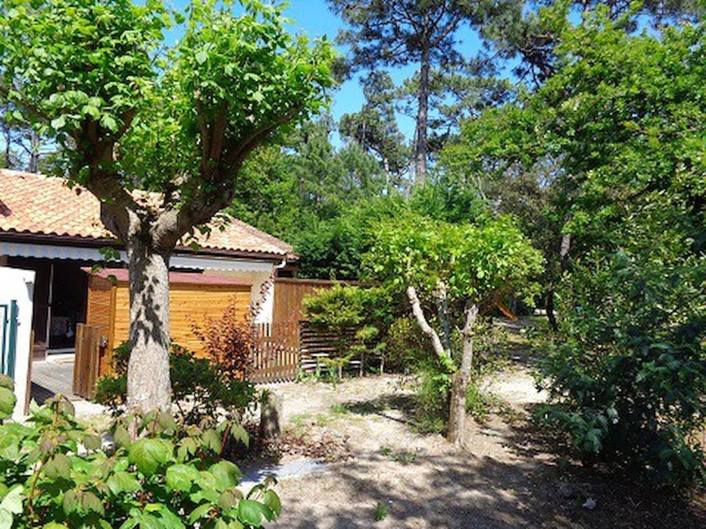 a yard with trees in front of a house at Maisonnette - M04231 in Soulac-sur-Mer