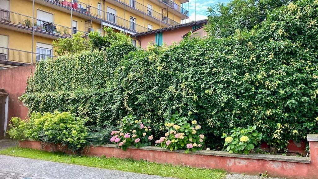 a large green hedge with flowers in front of a building at Cuore della Città- Manerbio in Manerbio