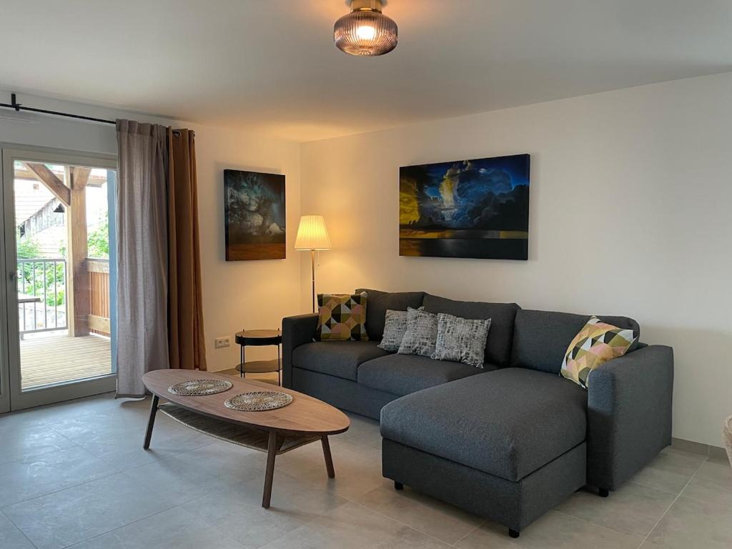Maison Bleue, Appartements Thann centre, proche vignoble, terrasse avec vue – photo 13