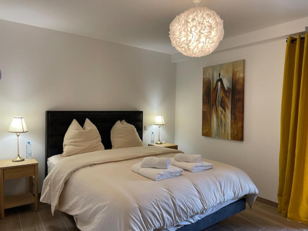 Maison Bleue, Appartements Thann centre, proche vignoble, terrasse avec vue – photo 16