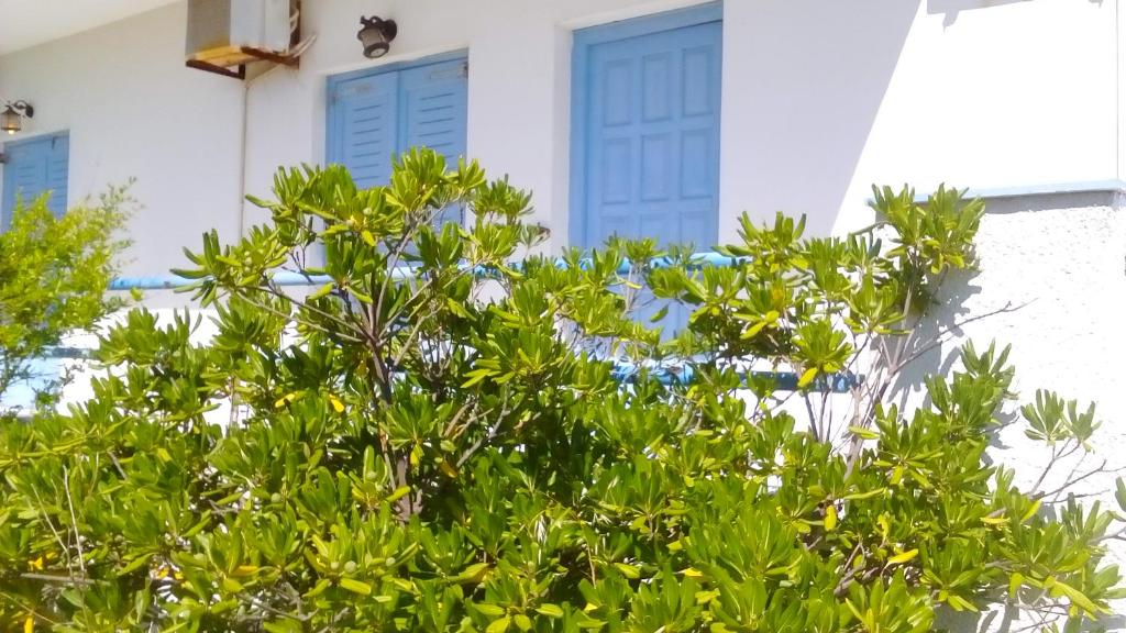 Beach Lichna - отзывы и видео