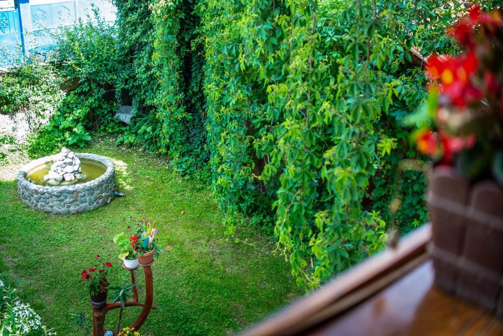 Ein Garten an der Unterkunft Pensiunea Mateș