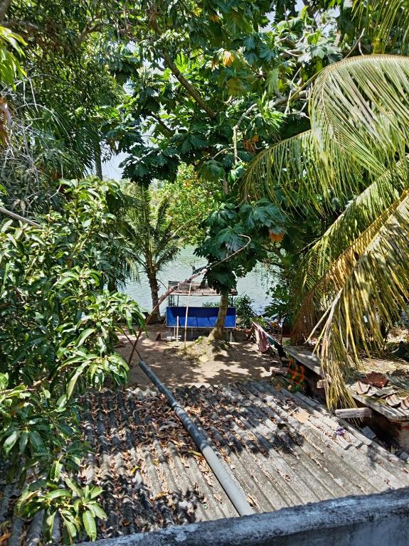 a wooden deck with trees and a boat in the water at Jayawikrama Cafe and Guest in Matara