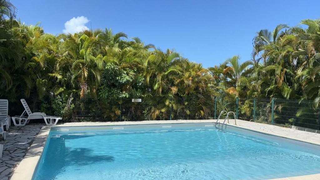 a swimming pool in front of a bunch of palm trees at T2 à deux pas des plages dans le bourg in Le Gosier