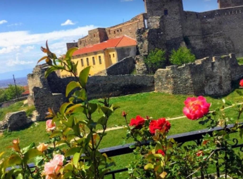 Zahrada ubytování Beyond the 7tower